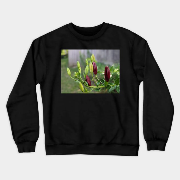 Multicolored Flower Buds 2 Crewneck Sweatshirt by AustaArt